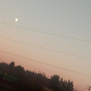 Meet your Posher, Halo